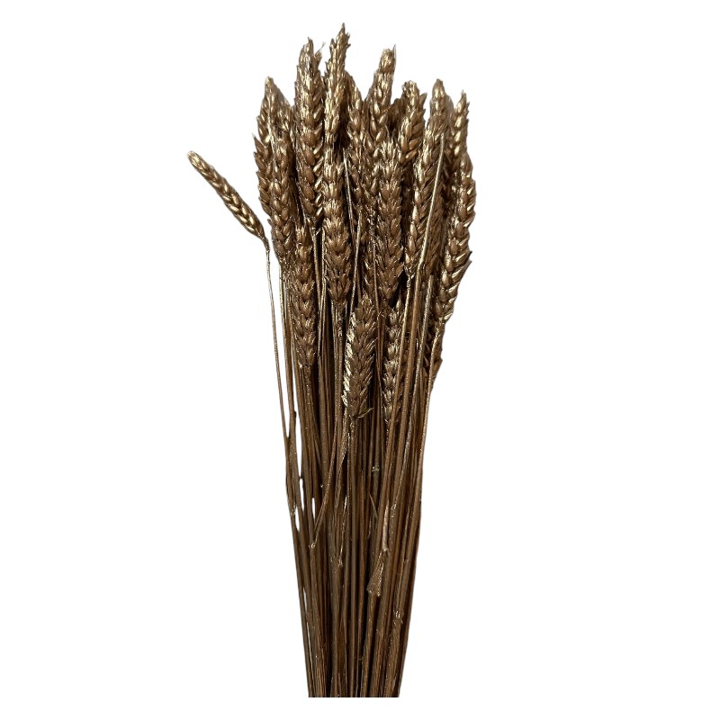 Dry Wheat gold - Image 3